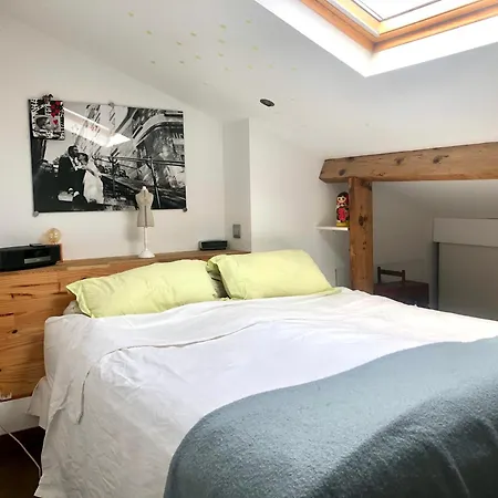 Duplex Atypique Proche Montparnasse & Parc Expositions * Parigi